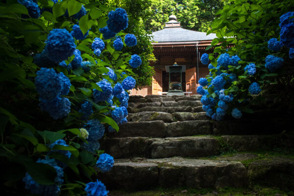 Kongōrin-ji Temple
