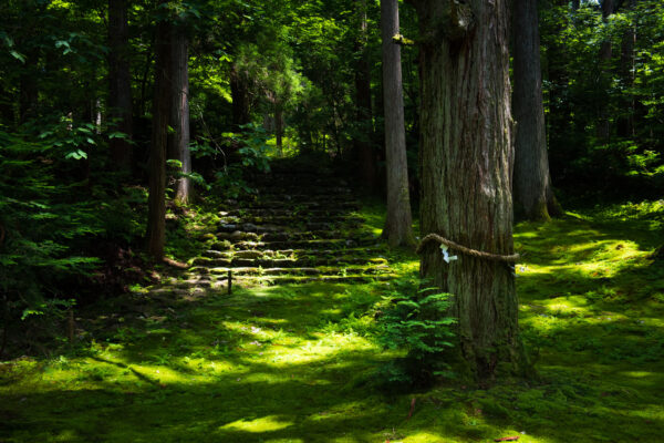 Heisenji Hakusan Shrine