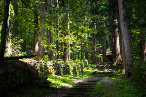 Heisenji Hakusan Shrine