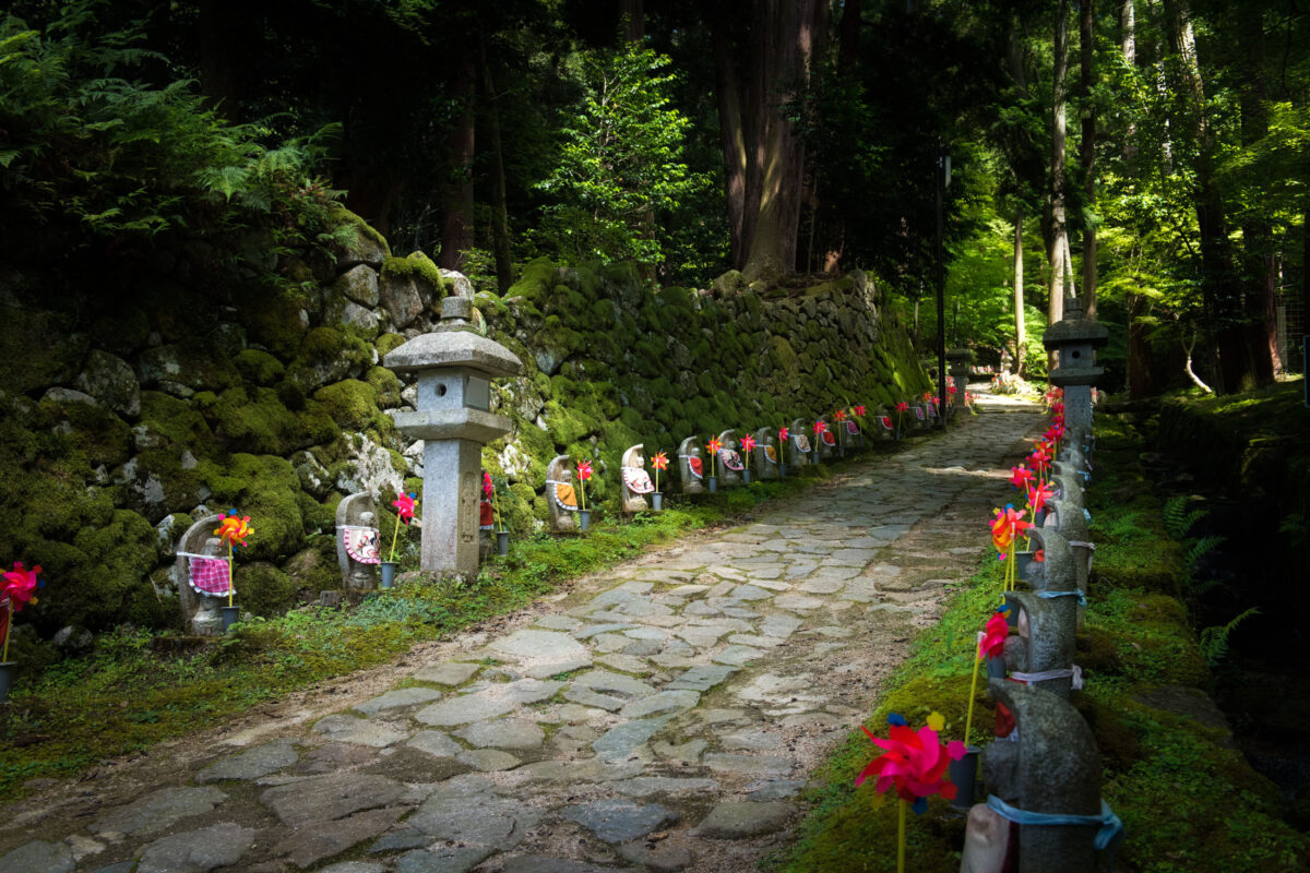 Jizo statues in red cloth line a mossy stone path at Kongōrin-ji Temple.