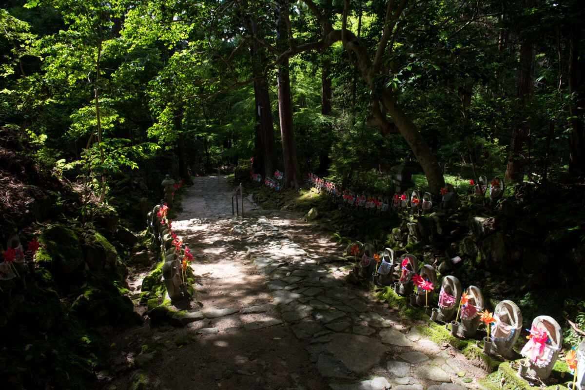 Stone path lined with red-bibbed Jizo statues at Kongōrin-ji Temple in Japan