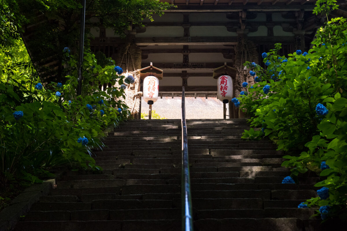 Stone staircase with hydrangeas leading to Kongōrin-ji Buddhist temple entrance in Japan