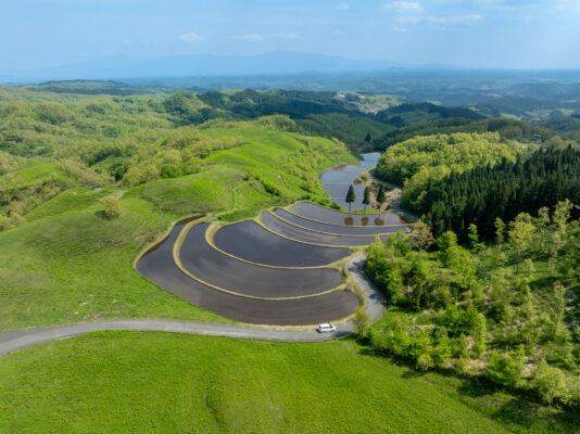 Ogi Terrace Fields