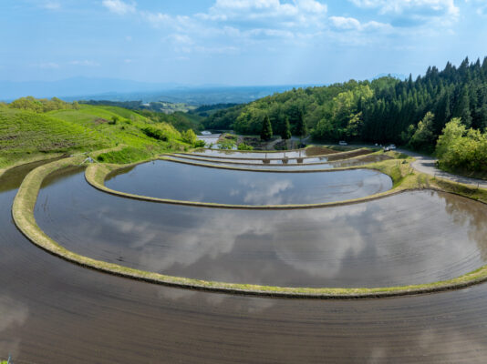 Ogi Terrace Fields