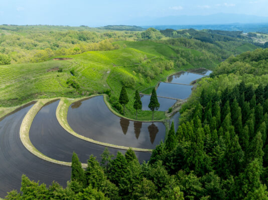 Ogi Terrace Fields