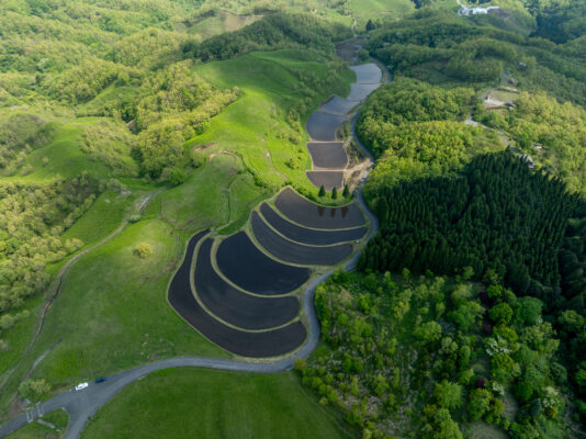Ogi Terrace Fields