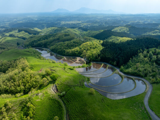 Ogi Terrace Fields