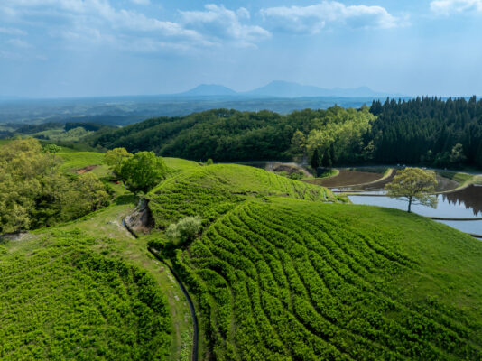 Ogi Terrace Fields