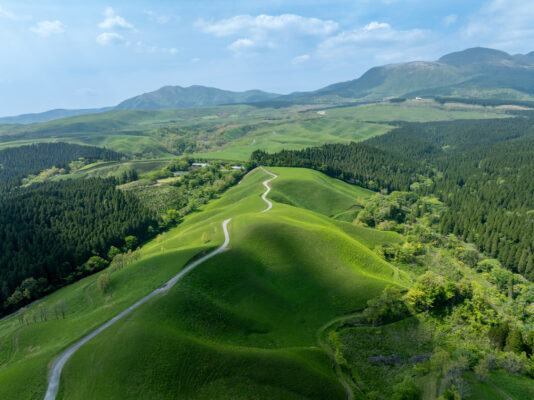 Ogi Terrace Fields