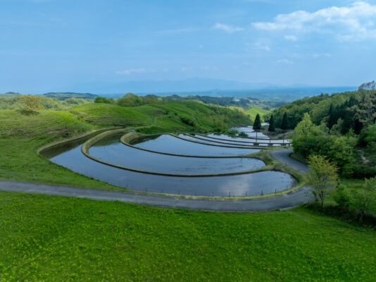 Ogi Terrace Fields