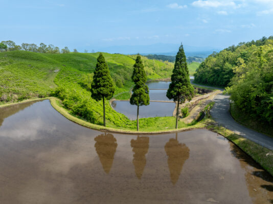 Ogi Terrace Fields