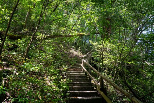 Shiratani Unsui Gorge