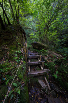 Shiratani Unsui Gorge