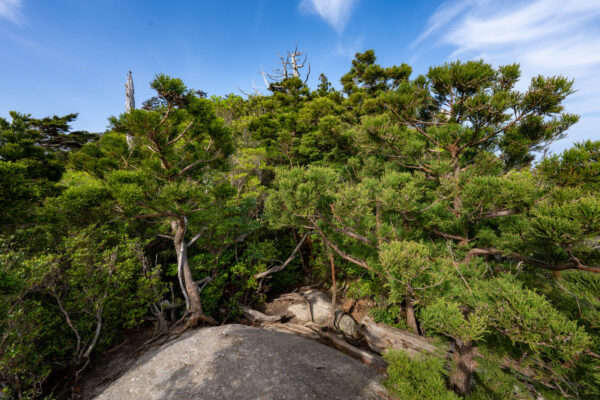 Shiratani Unsui Gorge