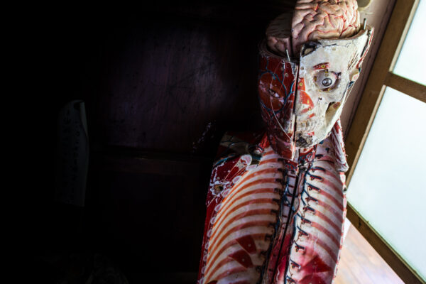 School of the Skeleton Teacher