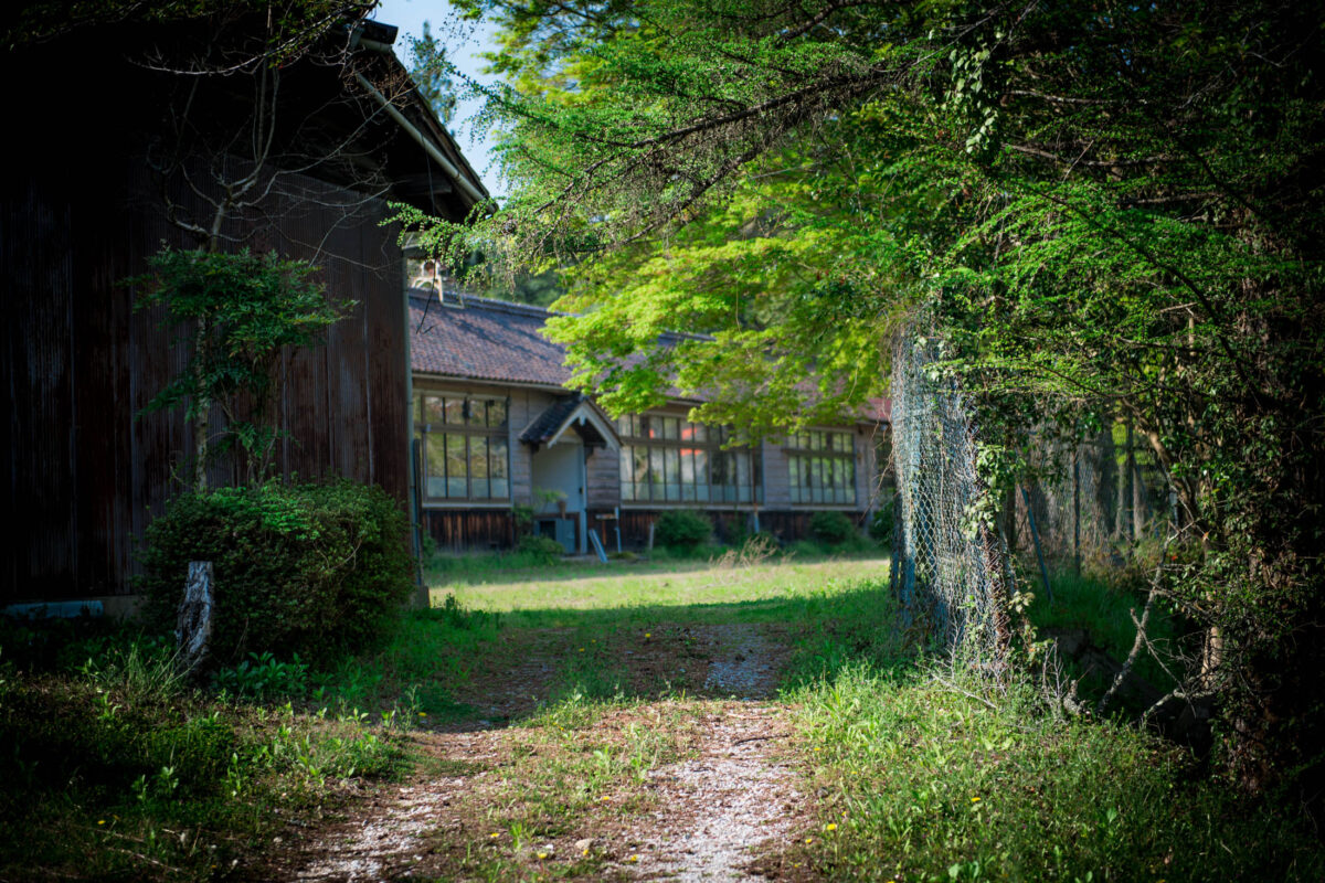 Sunlit path through trees to old wooden Sakamoto School buildings in rural Japan