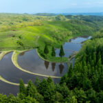 Aerial view of Ogi rice terraces with water-filled paddies reflecting sky on green hills
