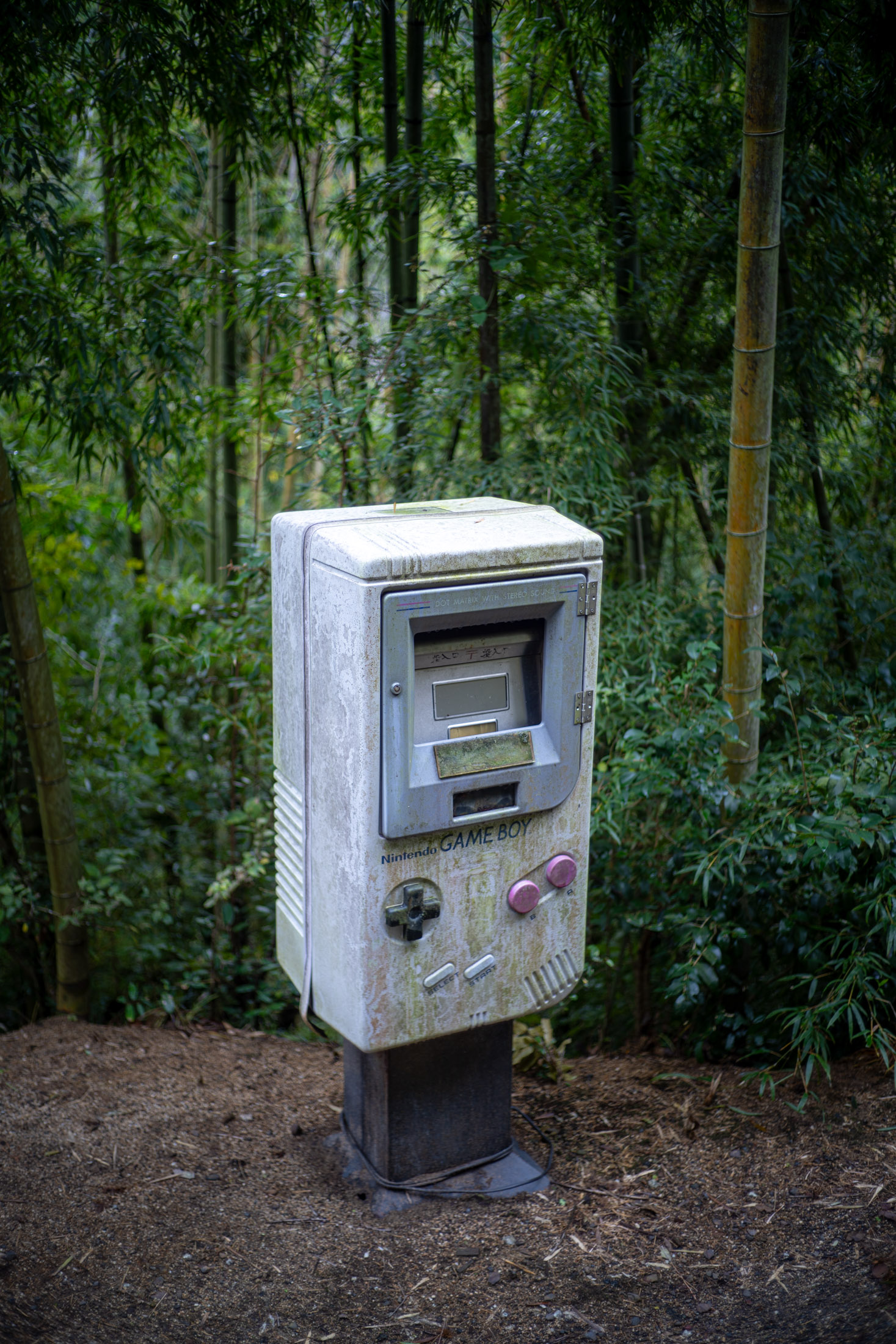 Game Boy Mailbox Hidden in a Lush Forest