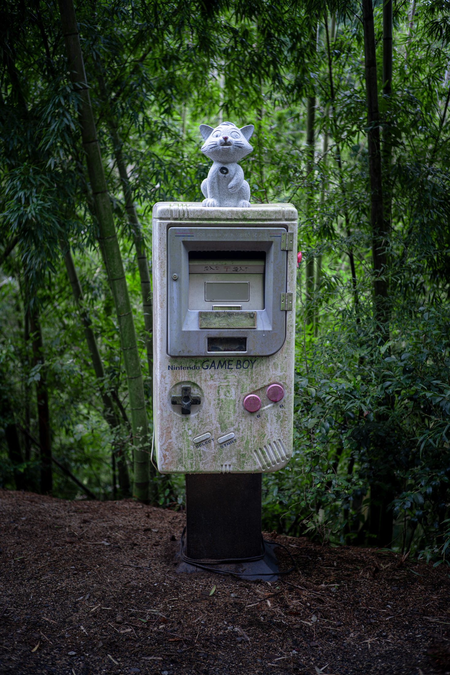 Game Boy Mailbox With Cat Figurine in Forest