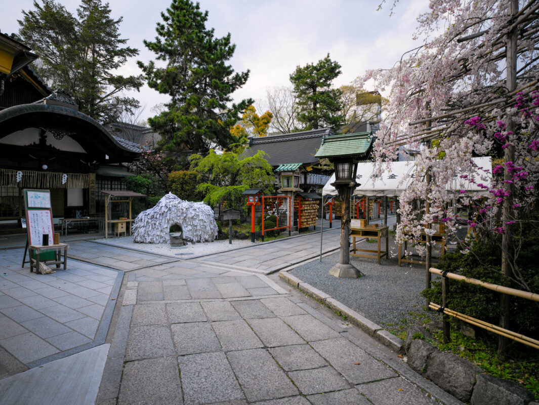 Serene Gion shrine courtyard in Kyoto with stone path, torii gate, and cherry blossoms.