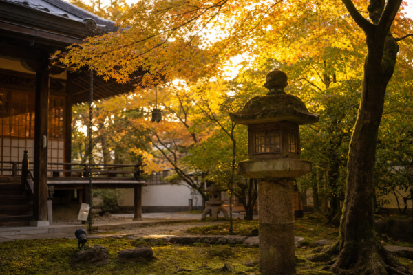 Que Faire à Kyoto