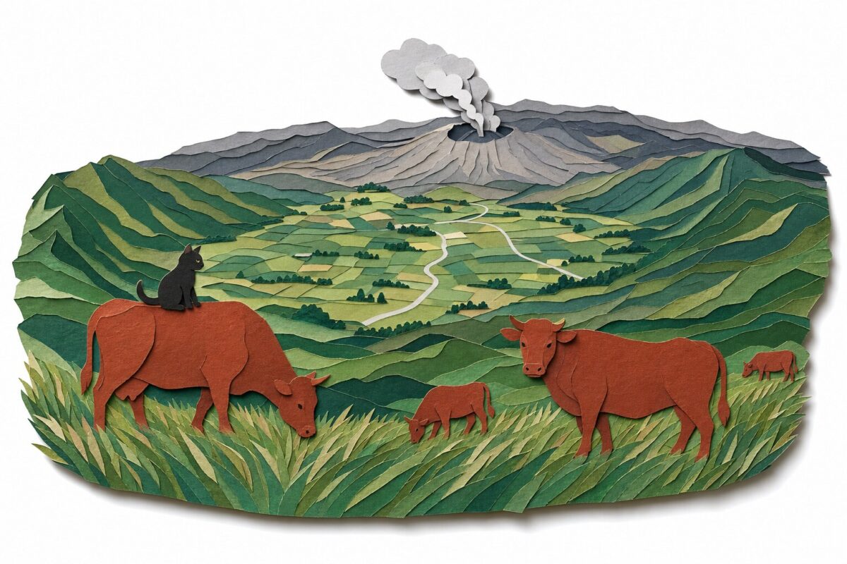 La caldeira d'Aso et ses vaches rouges, en papier découpé