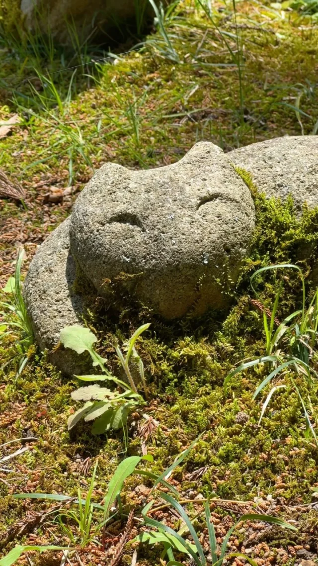 Une sacré bande de jizo 😜