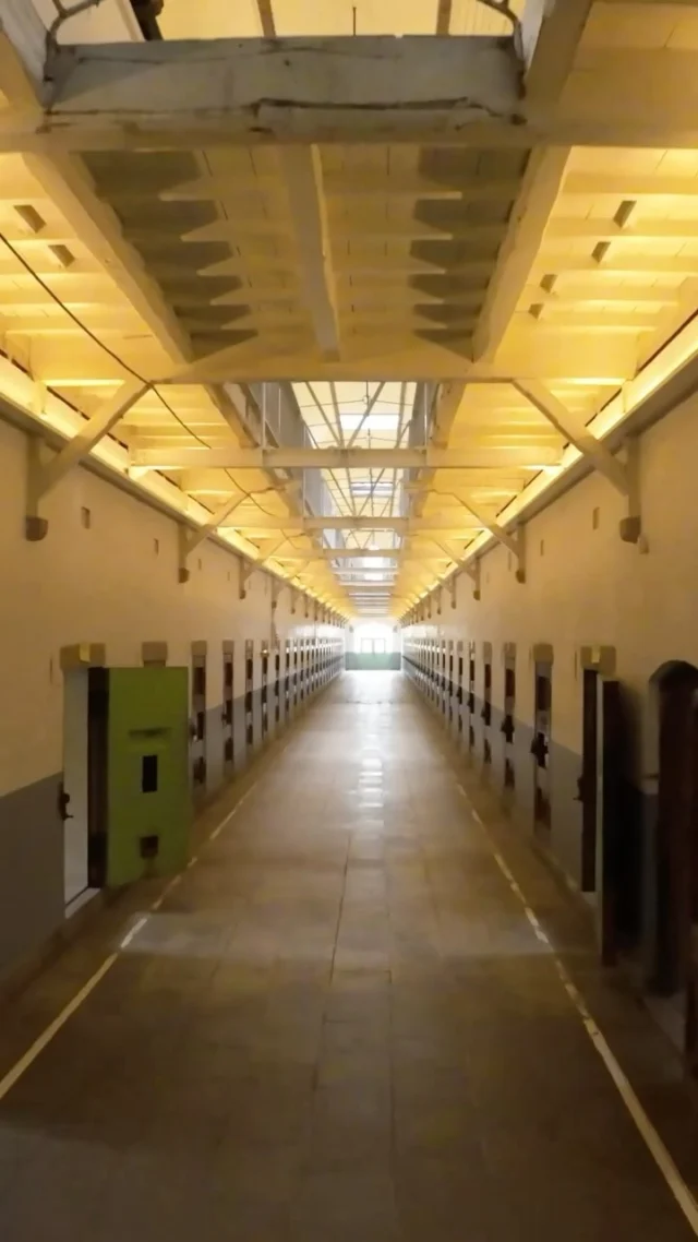 Quoi, vous êtes allés à Nara et vous ne saviez pas qu’il y avait une magnifique prison ? Encore une fois, il ne fallait pas suivre le guide ! 🤣 Allez, je vous emmène y faire un tour en FPV. Si vous likez, il y aura beaucoup plus de choses comme ça 😘 Merci les amis !

Shooté par @jordymeow
Monté par @cameraman_tokyo 

#nara #prison #japan #naraprison #fpv #fpvdrone