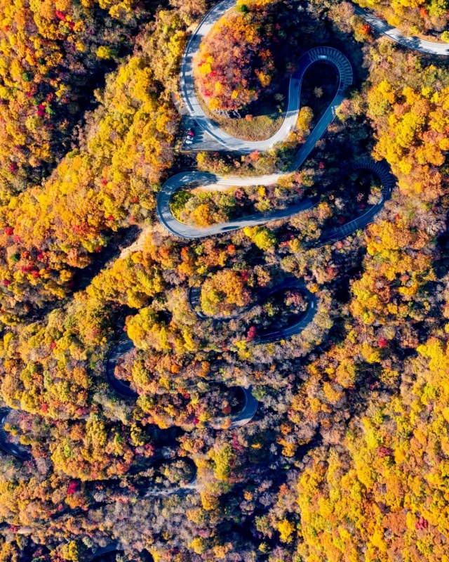 Cette route très kune-kune - くねくね - est, comme cet adjectif l’indique, plutôt très reloue pour le conducteur 🤣✌️ C’est celle qui mène au lac Chuzenji, mais en vérité il y en a plein d’autres au Japon… moins empruntées mais toutes aussi enquiquinantes 🙀