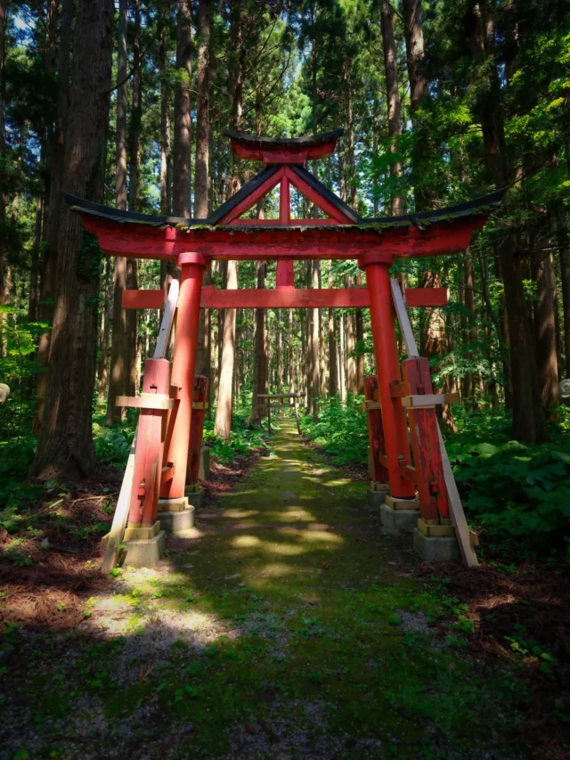 Step through the iconic red torii gate into a serene, sacred space where nature and spirituality meet in harmony, a beautiful embodiment of Japan's Shinto traditions. 🌿🇯🇵 #NatureLovers --- 赤い鳥居をくぐり、自然と精神性が調和する静かな聖域へ。日本の神道の伝統を美しく体現しています。🌿🇯🇵 #自然愛好家--- #offbeatjapan #japan #shinto #torii #sacredspace #nature #spirituality #forestpath