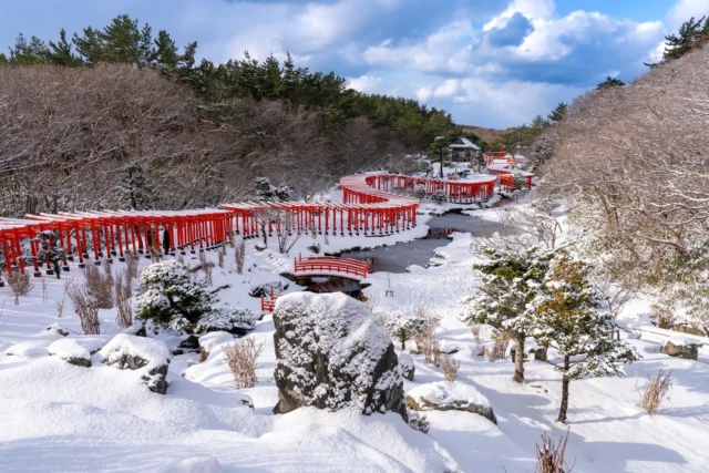 Red gates mark the path, Snow whispers secrets below, Sky's blue breath of peace. 赤門の道、 雪が囁く秘密を、 青空の安らぎ。 #offbeatjapan #japan #torii #winterwonderland #shinto #shrine #culturalsights