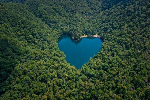 Emerald forest, Cradling sapphire heartbeats— Nature whispers love. エメラルドの森が、 サファイアの鼓動を包む— 自然は愛をささやく。 #LakeToyoni #Hokkaido #HeartShapedLake #AerialView #NatureLovers #offbeatjapan #japan