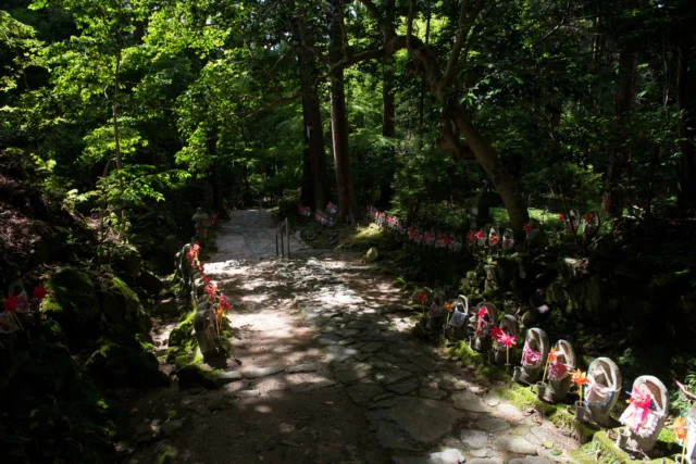 Emerald whispers, Jizo in crimson repose, Peace in quiet woods.---翡翠のささやき、 赤き地蔵の静寂、 静かな森の安らぎ。---#sacredjapan #jizostatue #forestbathing #serenity #spiritualjapan #offbeatjapan #japan