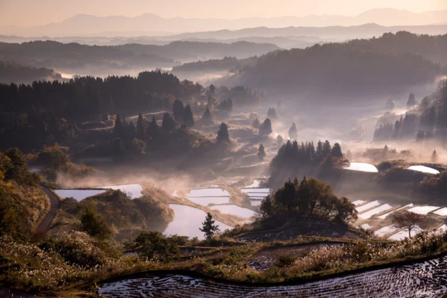 Golden sun awakens, Whispering mist hugs green hills— Sky's mirror below. ---金色の太陽が目覚め、 囁く霧が緑の丘を包む— 空は下を映す。 ---#tanada #offbeatjapan #serenesunrise #japanlandscapes #mysticalmorning #ruraljapan #traditionalagriculture #japan