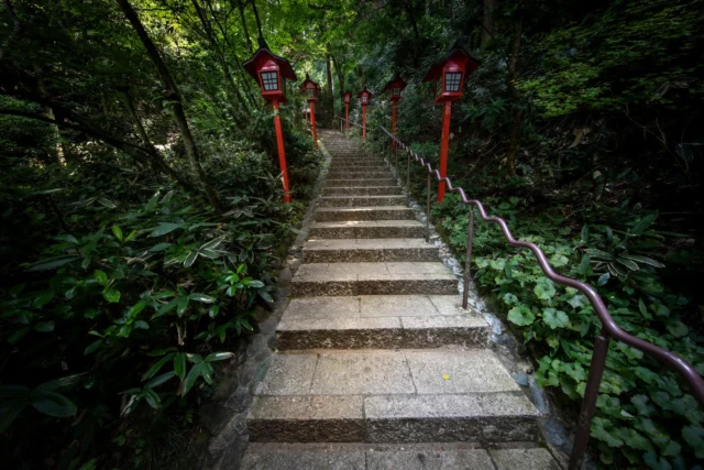 Scarlet lantern lights, Leading through nature's embrace— A temple's whisper.赤き灯火 緑に包まれて 寺の囁き#offbeatjapan #japan #mysticalpath #sacredsteps #traditionallanterns #spiritualretreat #templejourney