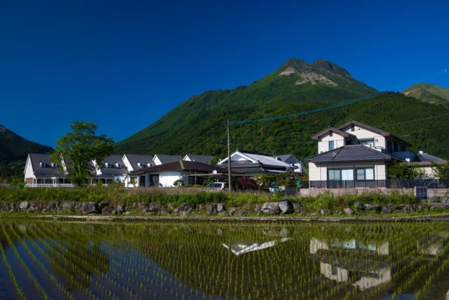 Green fields whispering, Mirrors of sky hold secrets, Nature's art unfolds. 緑の田畑 空の鏡が秘密を抱く 自然の芸術広がる#offbeatjapan #japan #ruraljapan #ricefields #naturelovers #landscapephotography #serenebeauty #japaneseheritage