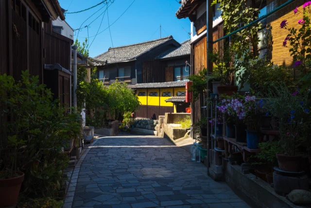 Yellow noren glow, In a calm, verdant alley— Silent history.---黄色の暖簾、 静かな緑の小路に— 静寂の歴史。---#japanesehistory #traditionaljapan #serenealley #historicdistrict #japanesearchitecture #offbeatjapan #japan
