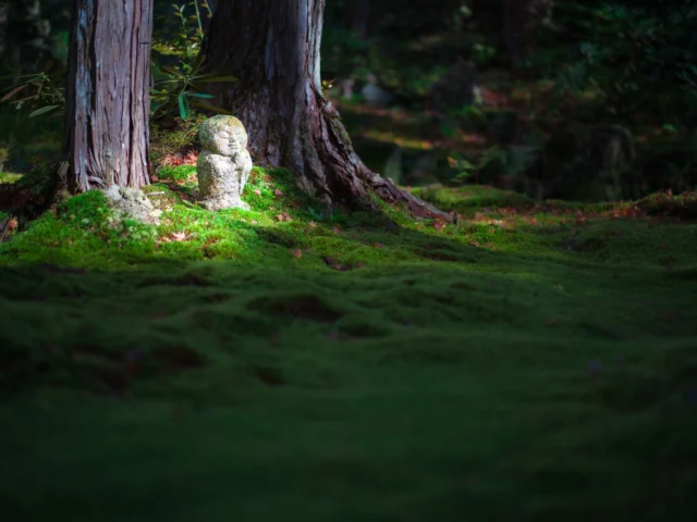 Sunlight weaves through leaves, Moss whispers to Jizō's grace— Silent guardian. 光が差し込む 苔が地蔵の優雅さを語る— 静かな守護者。 #offbeatjapan #japan #japanesegarden #jizostatue #serenity #mossmagic #spiritualjourney #natureworship