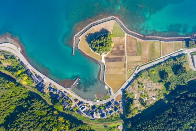 Turquoise sea's edge, Greens and browns in quiet dance— Nature's patchwork quilt.青い海辺、 緑と茶の静かな踊り— 自然のパッチワークキルト。#offbeatjapan #japan #coastalbeauty #naturestapestry #ruraljapan #agriculture #seawalls