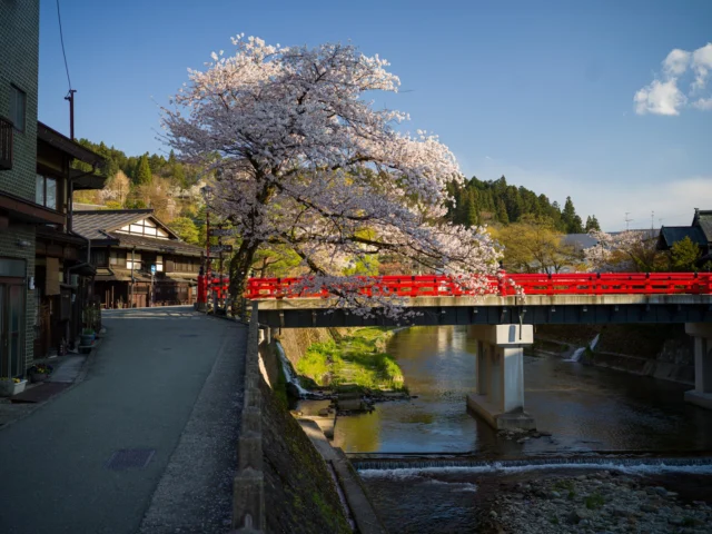 Sakura whispers, Ruby bridge spans tranquil flow, Spring's fleeting embrace. 桜のささやき、 ルビーの橋は静かな流れを渡る、 春の儚い抱擁。 #cherryblossoms #sakura #japan #traditionaljapan #tranquility #natureandarchitecture #offbeatjapan