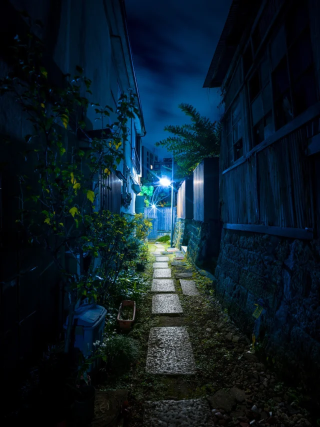 Blue haze softly glows, Stone paths bind past with future— Time whispers in night.青い霞が優しく輝く、 石畳が過去と未来を結ぶ— 時間は夜に囁く。#roji #nocturnalscene #japanlovers #urbanharmony #serenemoments #offbeatjapan #japan