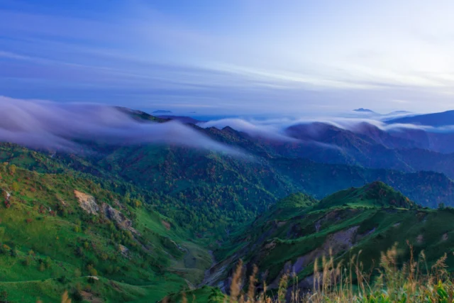 Rolling misty dreams, Blue and green whispers converge, Mountains touch the sky. ---転がる霧、 青と緑が囁く、 山は空に触れる。 ---#offbeatjapan #japan #mistymountains #dreamyscapes #naturewhispers #japaneselands #hakone #nikko