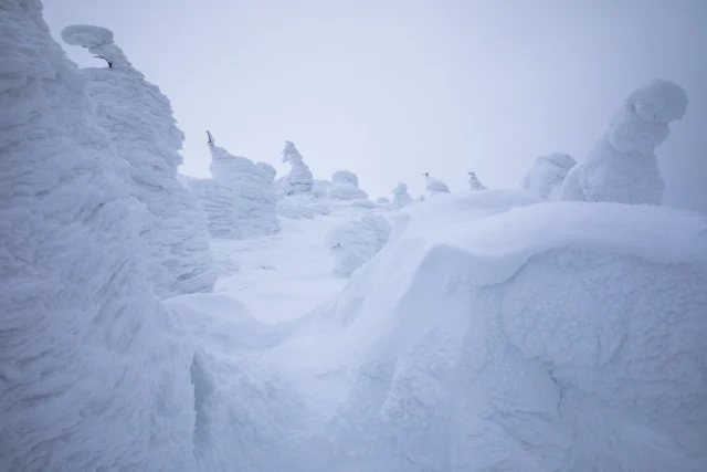 Ghostly white giants, Silent in crystalline frost— Winter breathes its art. ゴーストのような白い巨人 結晶の霜の中で沈黙する— 冬はその芸術を息吹く。#snowmonsters #juhyo #winterwonderland #japantravel #offbeatjapan #serenebeauty #Japan