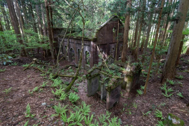 Crimson whispers sigh, Fern-cloaked arches lull to sleep Whispering past dreams.  紅いささやき シダが眠りを誘う 夢の痕跡  #offbeatjapan #japan #hiddenheritage #urbanexploration #naturevsman #forgottenbeauty #wabisabi