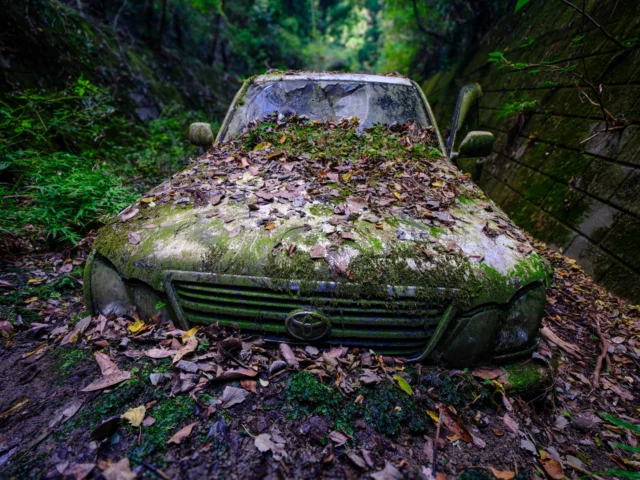 Green moss whispers soft, Car cradled in stone's embrace, Leaves dance 'round its grave. ---苔は囁き、 石の抱擁の中で、 葉は舞い踊る。---#offbeatjapan #japan #naturetakesover #abandonedcar #mossmagic #earthytones #hiddenjapan