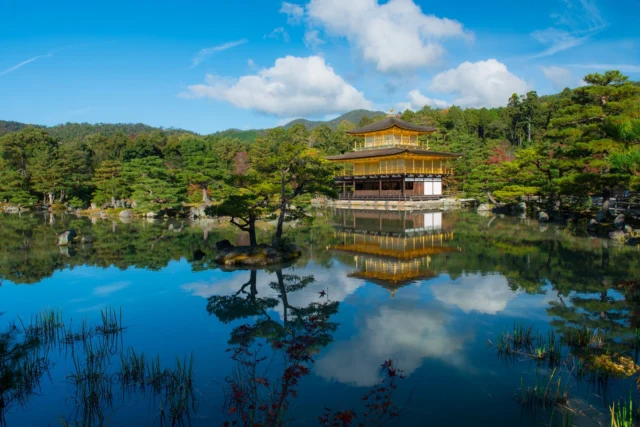 Glint of gold mirrors, Pond cradles sky's gentle blue, Leaves whisper of peace. ---黄金の輝き 池に浮かぶ空 紅葉が囁く静けさ ---#Kyoto #GoldenPavilion #ZenBeauty #JapaneseGarden #SereneNature #offbeatjapan #japan